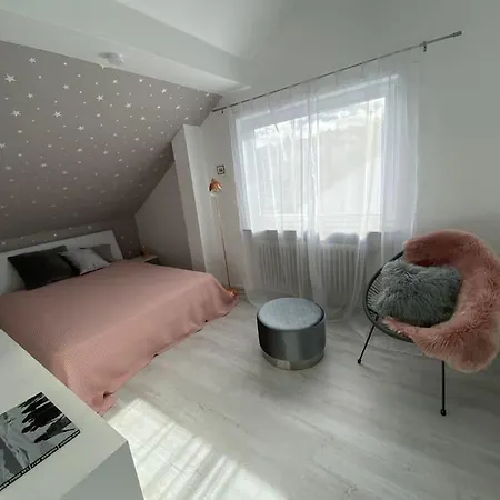 Stuttgart-townhouse Fully Furnished W Garden Apartment