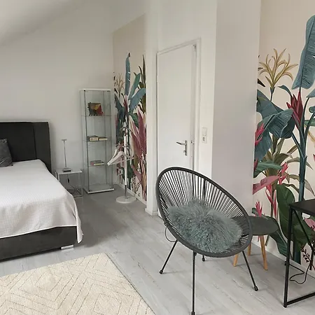 Stuttgart-townhouse Fully Furnished W Garden